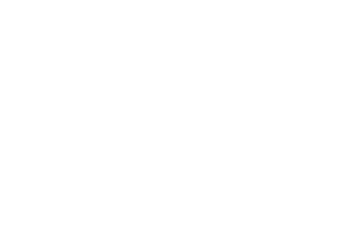 Luxe Sloep Loosdrecht.nl